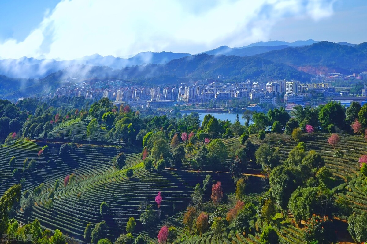 冬季避寒还是得去云南西双版纳,云南版纳哪些地方值得去