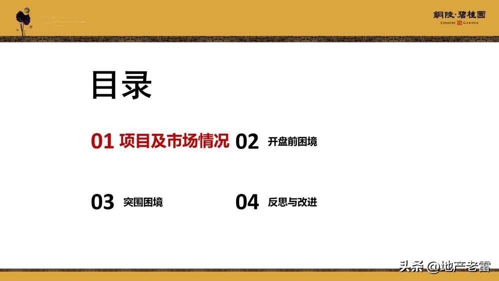 碧桂园房地产竞品分析,碧桂园房地产价格策略