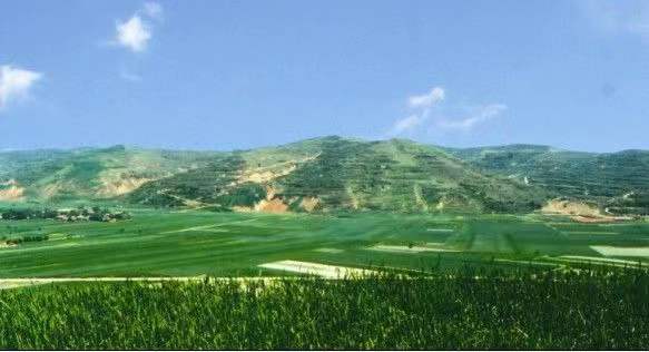 泾川文汇足球队队员简历,惊奇足球