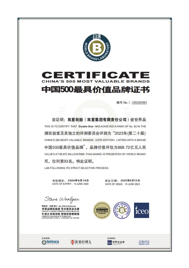 十大中国领军轮胎品牌,双星集团旗下有几个轮胎品牌