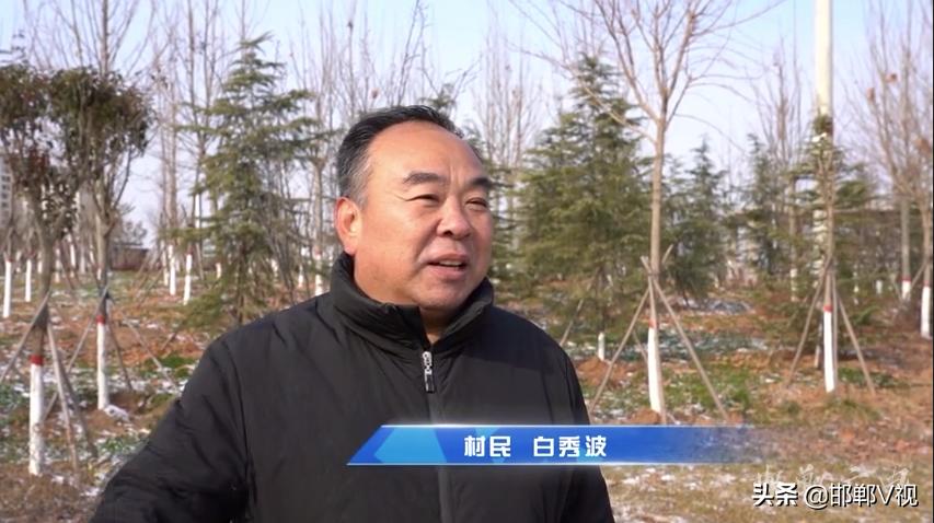 「滏水扬帆」“凤凰城”中凤鸣湖