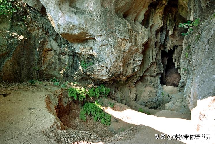 海岸线：邂逅*江阳**——感受这座慢节奏小城文化底蕴感悟人文之美