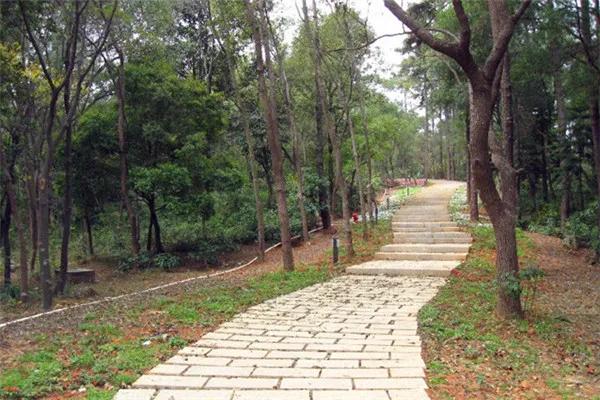 江阳公园有哪些景点,江阳旅游景点推荐