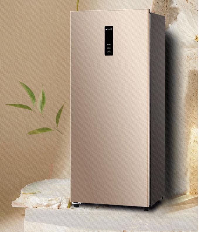 冷柜需求旺季来临,家用小冷柜销售旺季