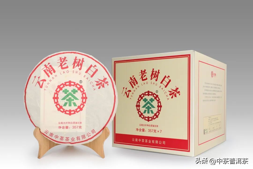 茶友评测,中茶福鼎白茶蝴蝶牌老树白茶