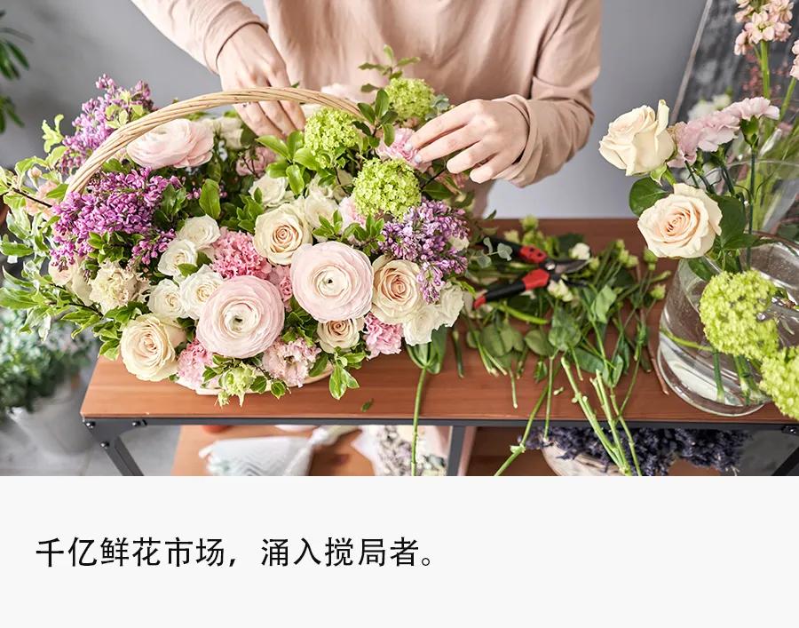 鲜花电商进入洗牌倒计时,鲜花电商大洗牌