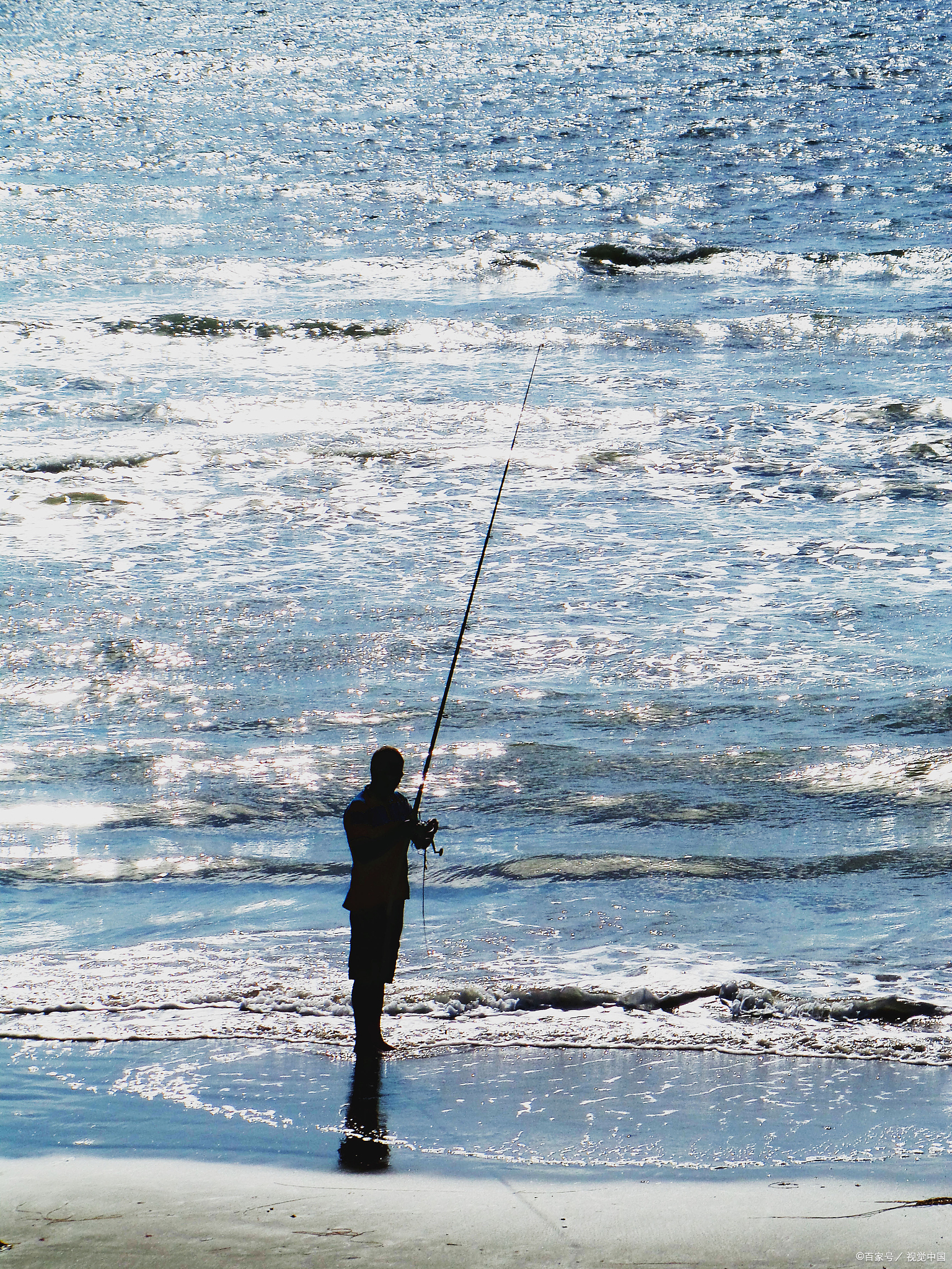 威美特,威海台钓鱼竿品牌