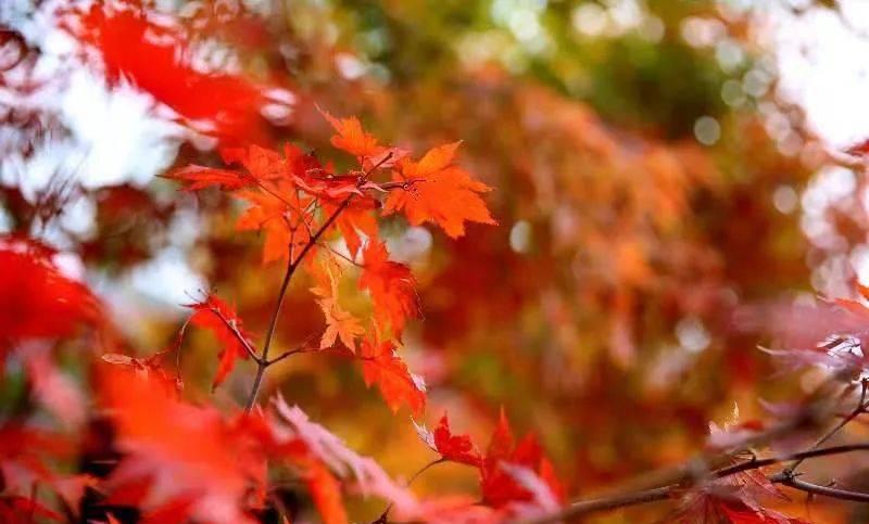 最新地图发布！速来围观！