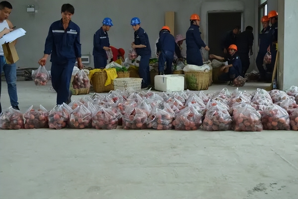 强质量红河拼经济出真招见实效快行动|勇担社会责任促地方经济社会发展!鑫联环保科技公司这样做→