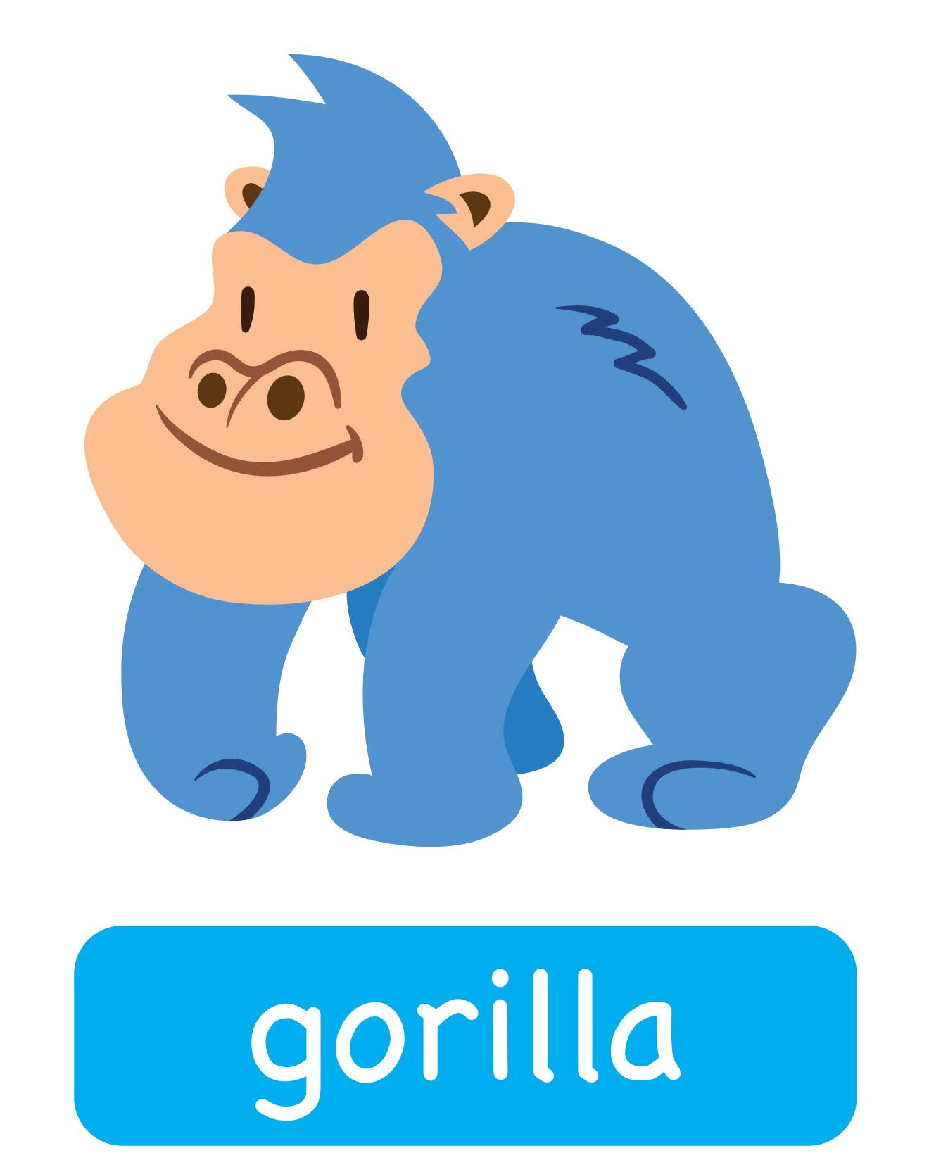 图说英语单词：高清动物类卡片，一图一单词