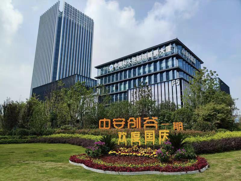 今年国庆合肥高新区，红了！