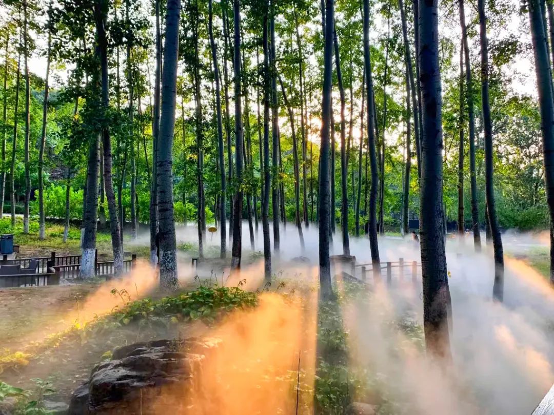 民宿推荐打卡网红酒店,北京小众网红打卡民宿