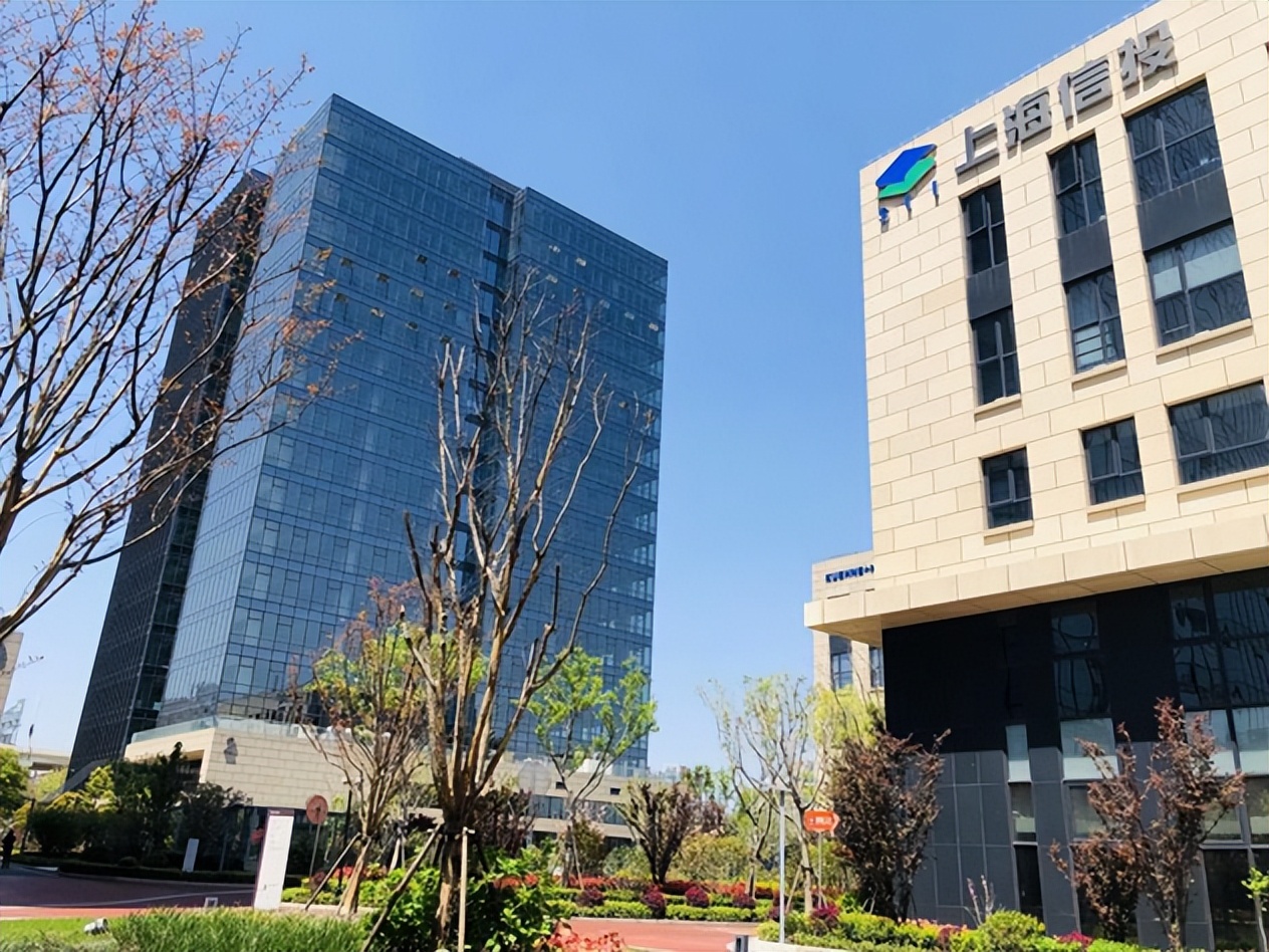 上海信息技术创业投资有限公司,上海信息投资股份有限公司