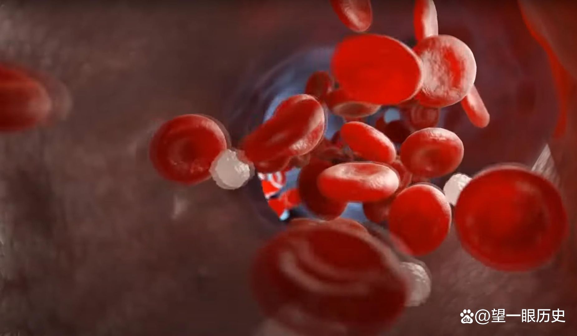 世界上最昂贵的液体，每升的血液值多少钱？告诉你答案