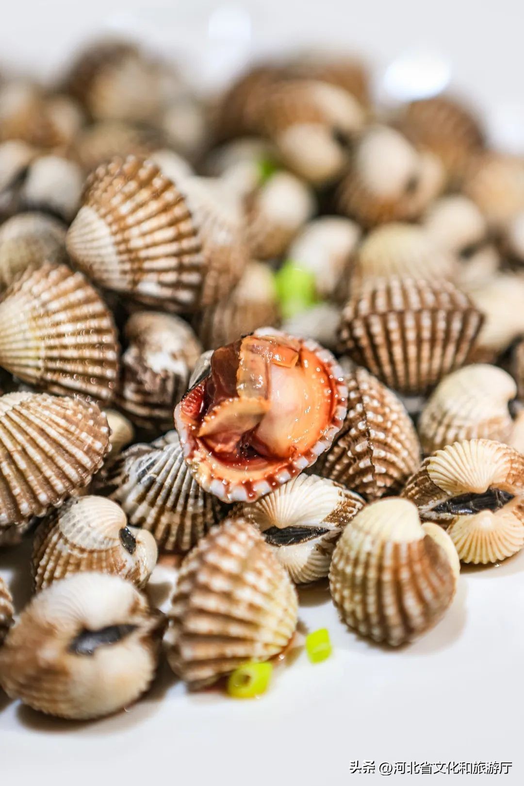 现在海鲜哪种最好吃,现在的海鲜哪个最好吃