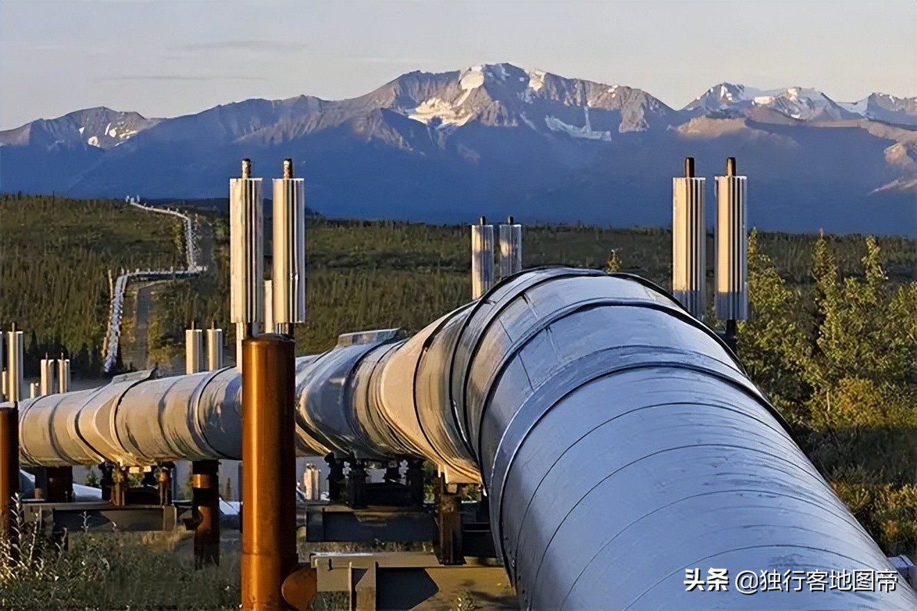 在二战中被瓜分的波兰到底有多惨,波兰二战时为什么要被苏联德国打