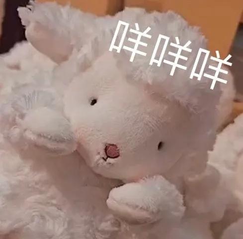 可爱的动物表情包画像,动物表情包猫猫