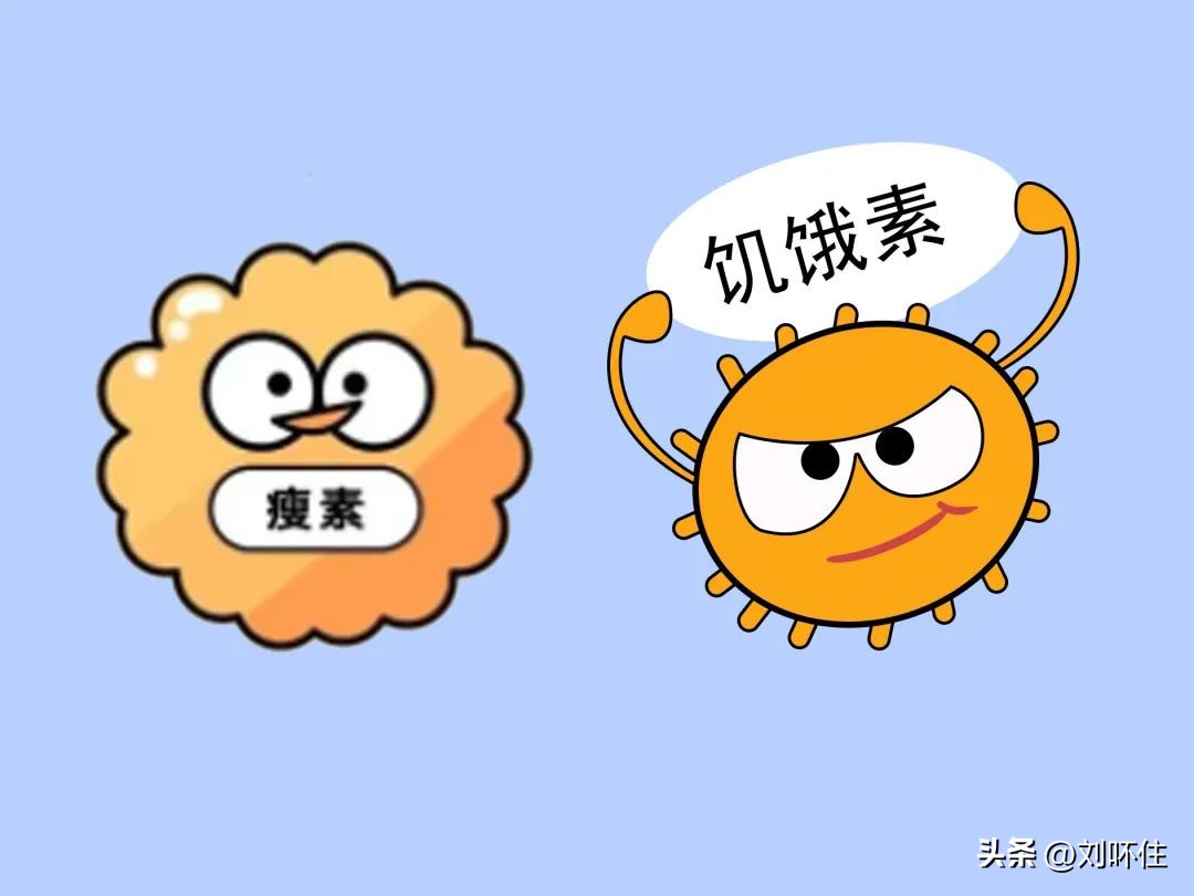 睡觉就能睡瘦的方法,躺在床上就能变瘦的方法