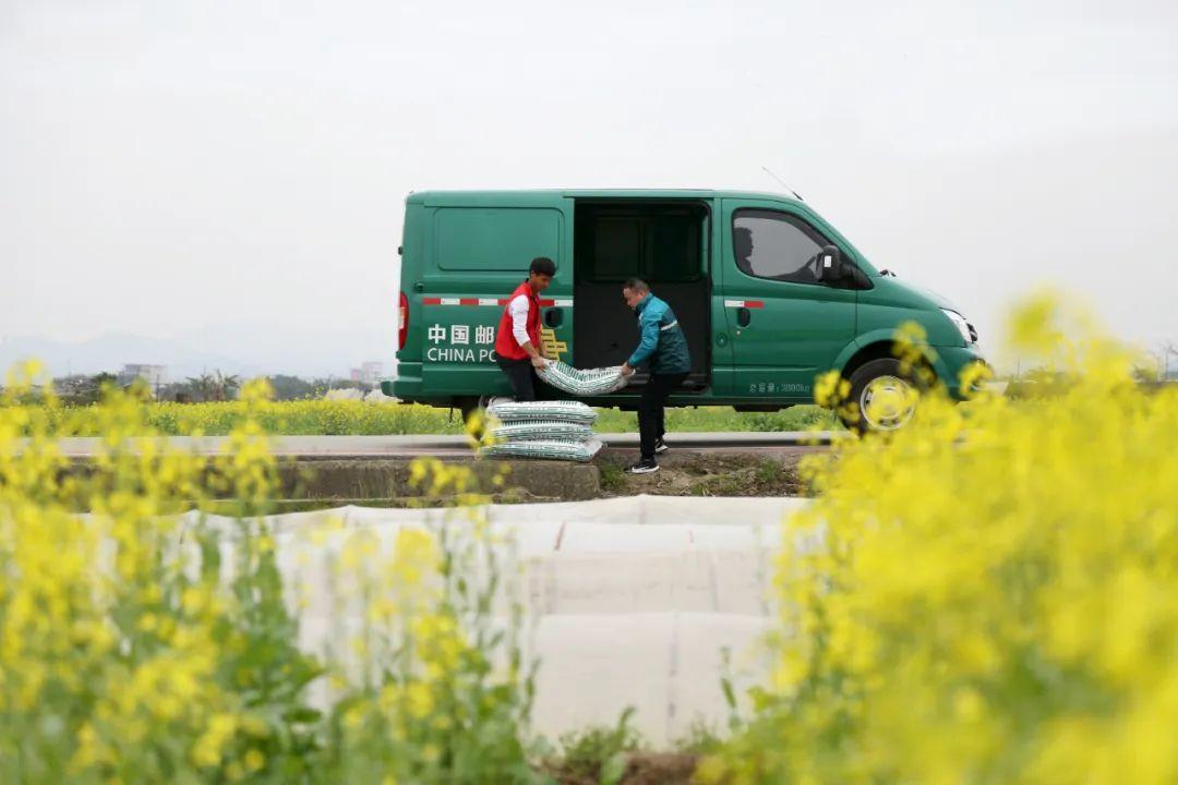 给农村邮寄东西骗局,给乡镇送快递是否赚钱