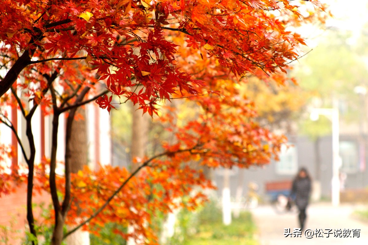 北京物资学院最新消息,北京物资学院是本一么