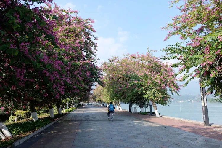 肇庆星湖岩前村,肇庆岩前村附近两日游攻略