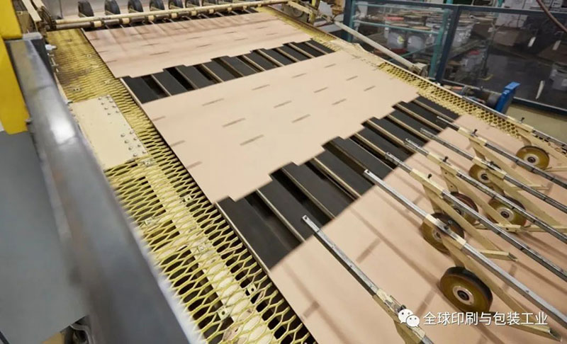 多伦多食物盲盒,全球纸箱行业现状