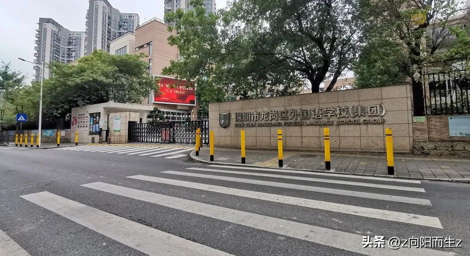 龙岗星龙园,大运星龙园