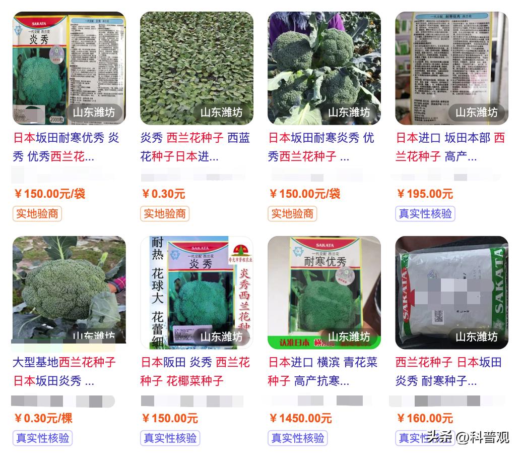 日本垄断中国市场百分之多少,打破西兰花种子垄断的原因