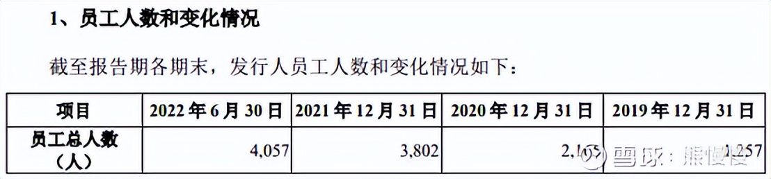 2022.1.28新股申购建议,新股今日申购分析量子熊猫