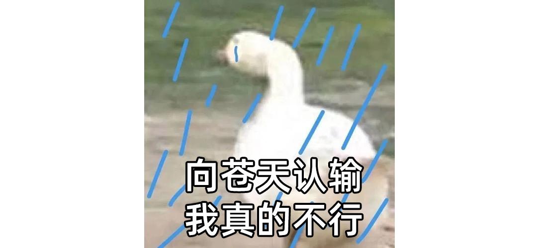 租房电费有些高怎么和房东说,租房电费被房东坑了怎样维权