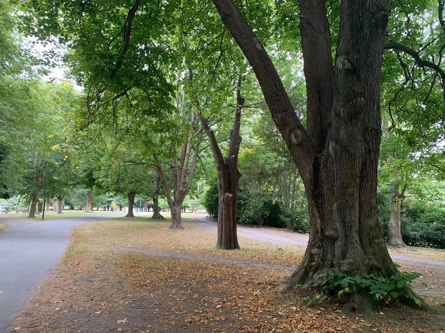 新西兰南岛自驾地图,新西兰南岛免费自驾游