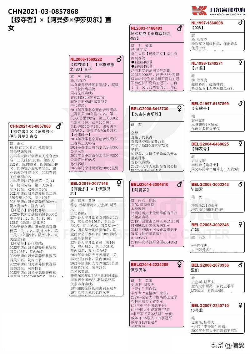 开尔拍卖2018,开尔大棚拍卖会