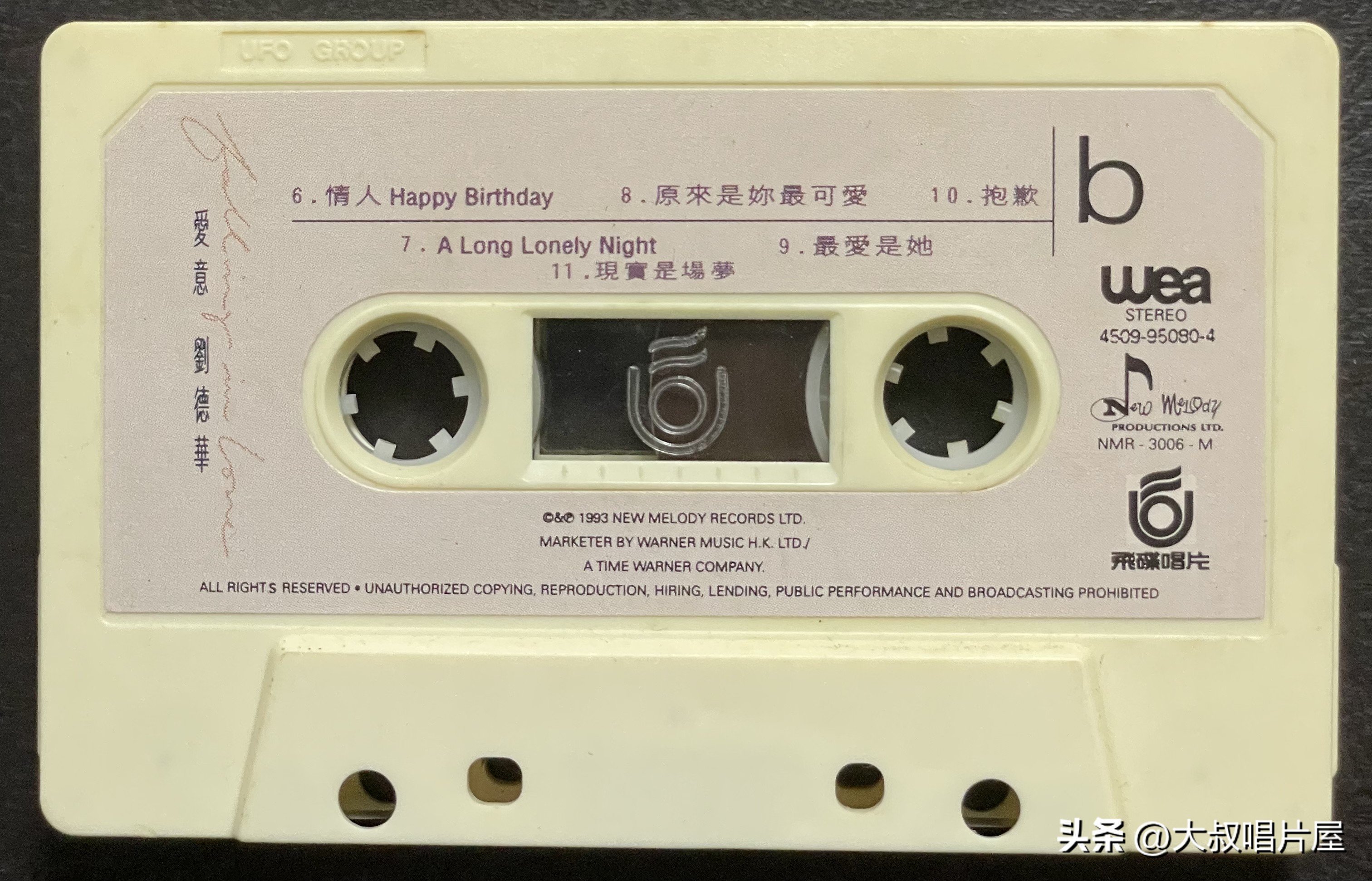 1993年中国神曲,1993年华语乐坛神曲大爆发