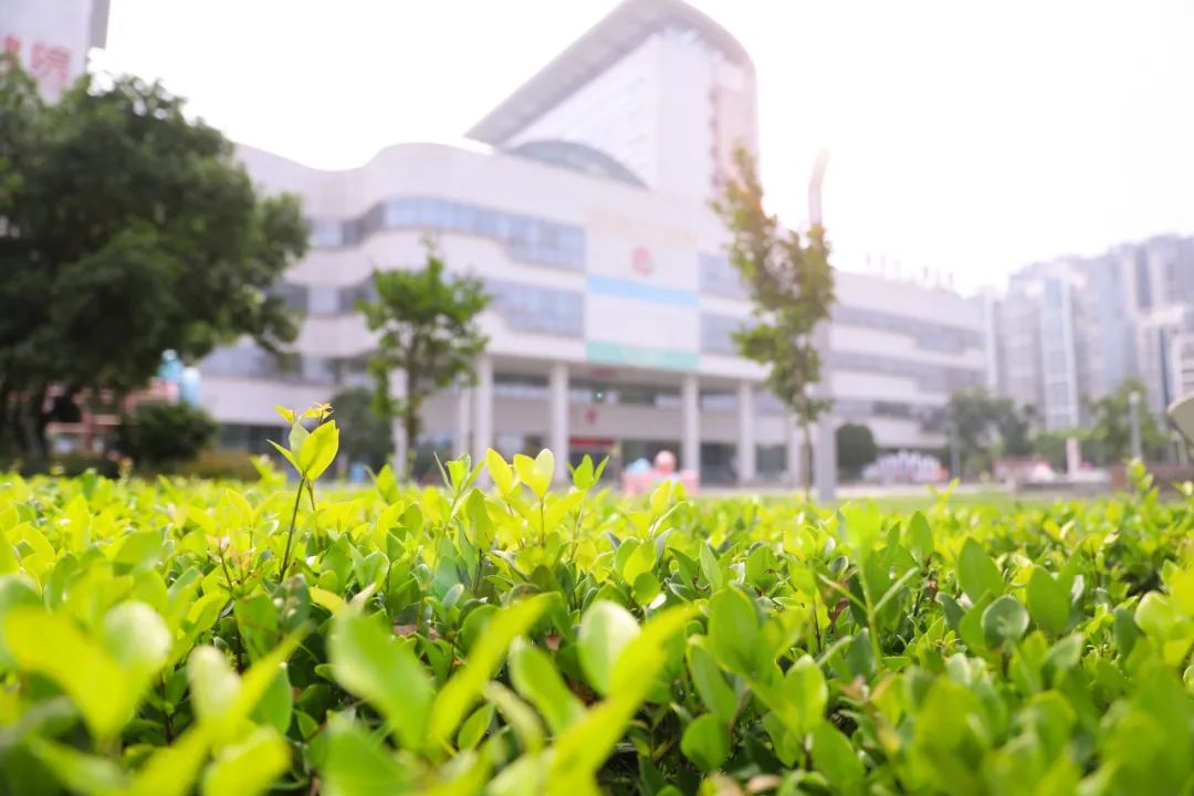 益阳妇幼保健医院详情介绍,益阳市妇幼保健院创三甲