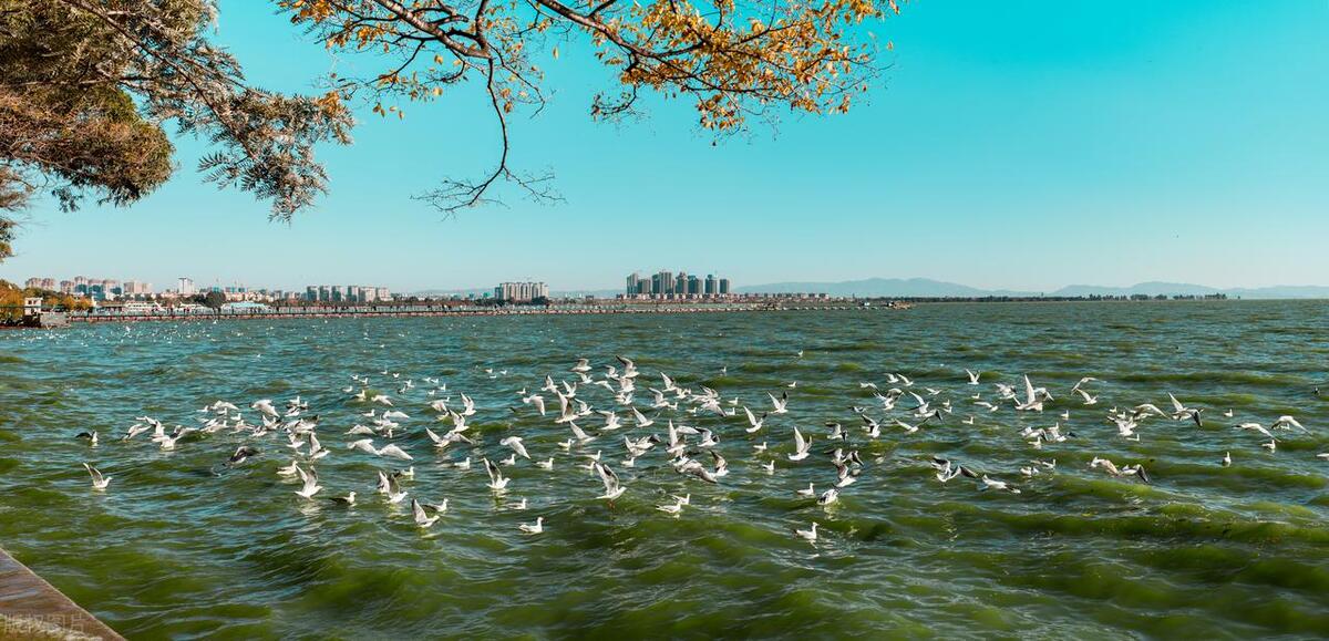 云南十大著名山歌,云南十大著名画家