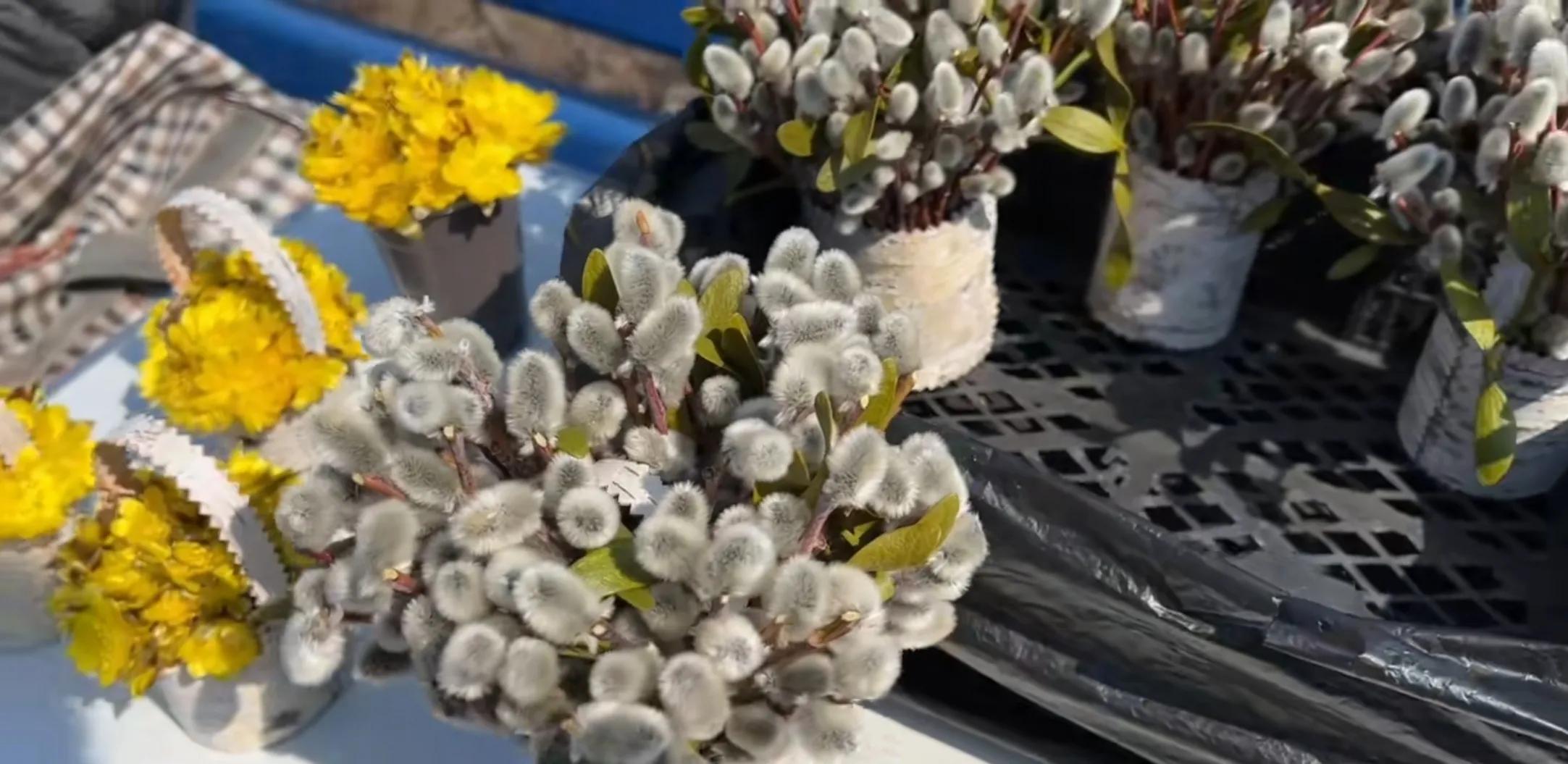 入境俄罗斯需要签证吗,入境俄罗斯需要检查回程机票吗