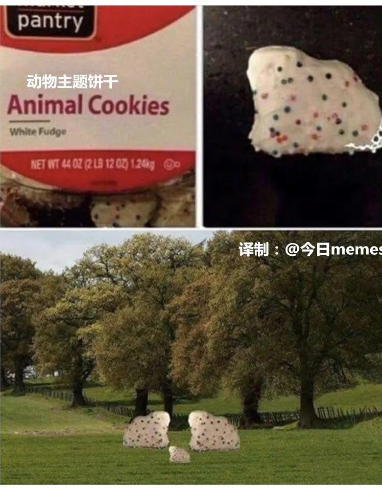 lifeme搞笑图片,十点半搞笑图片