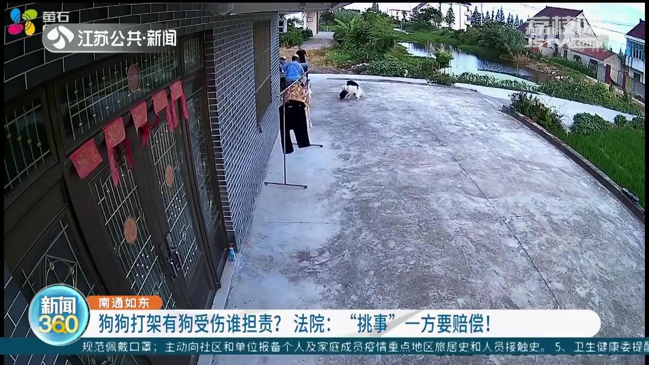南通如东：狗狗打架有狗受伤谁担责？法院：“挑事”一方要赔偿
