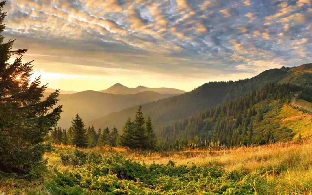 其实幸福很简单的句子说说,小家庭的幸福的句子说说心情