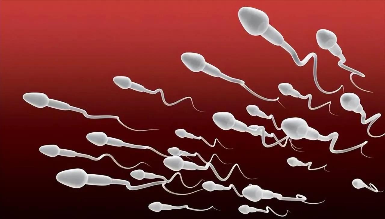 这世界太搞笑了！澳大利亚一男子非法捐精，致使60名孩子长相相似