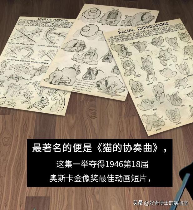 《猫和老鼠》其实不是儿童动画片而是成人片