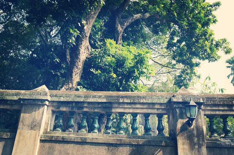 大学就业前景最好的十个专业,未来就业前景最好的大学专业