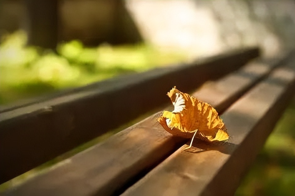 人老了躺在病床上才明白谁最重要,假如有一天我老了躺在病床上