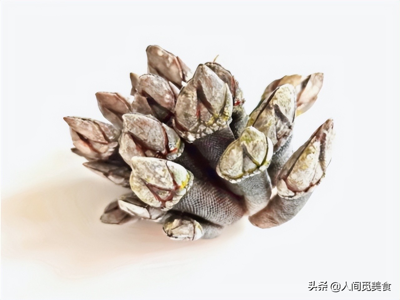 山东婆婆花1h做的菜，儿媳妇一口不吃直接扔了，网友：我也不敢吃