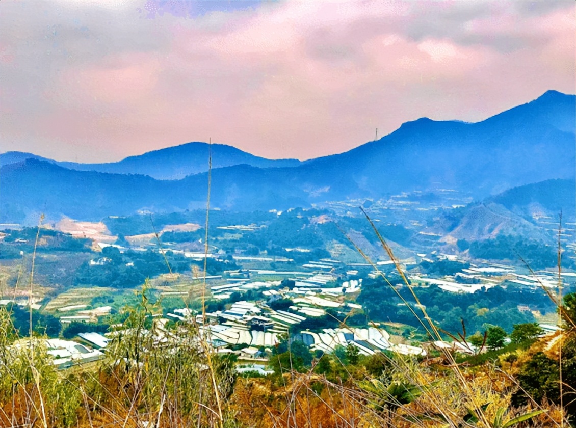 鏁f枃鑸媿,鏁f枃绔欏湪灞遍《閬ユ湜骞冲師