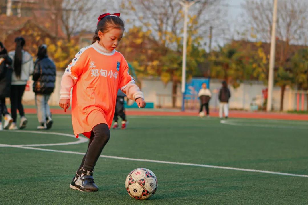 郑甸小学,九华郑甸小学
