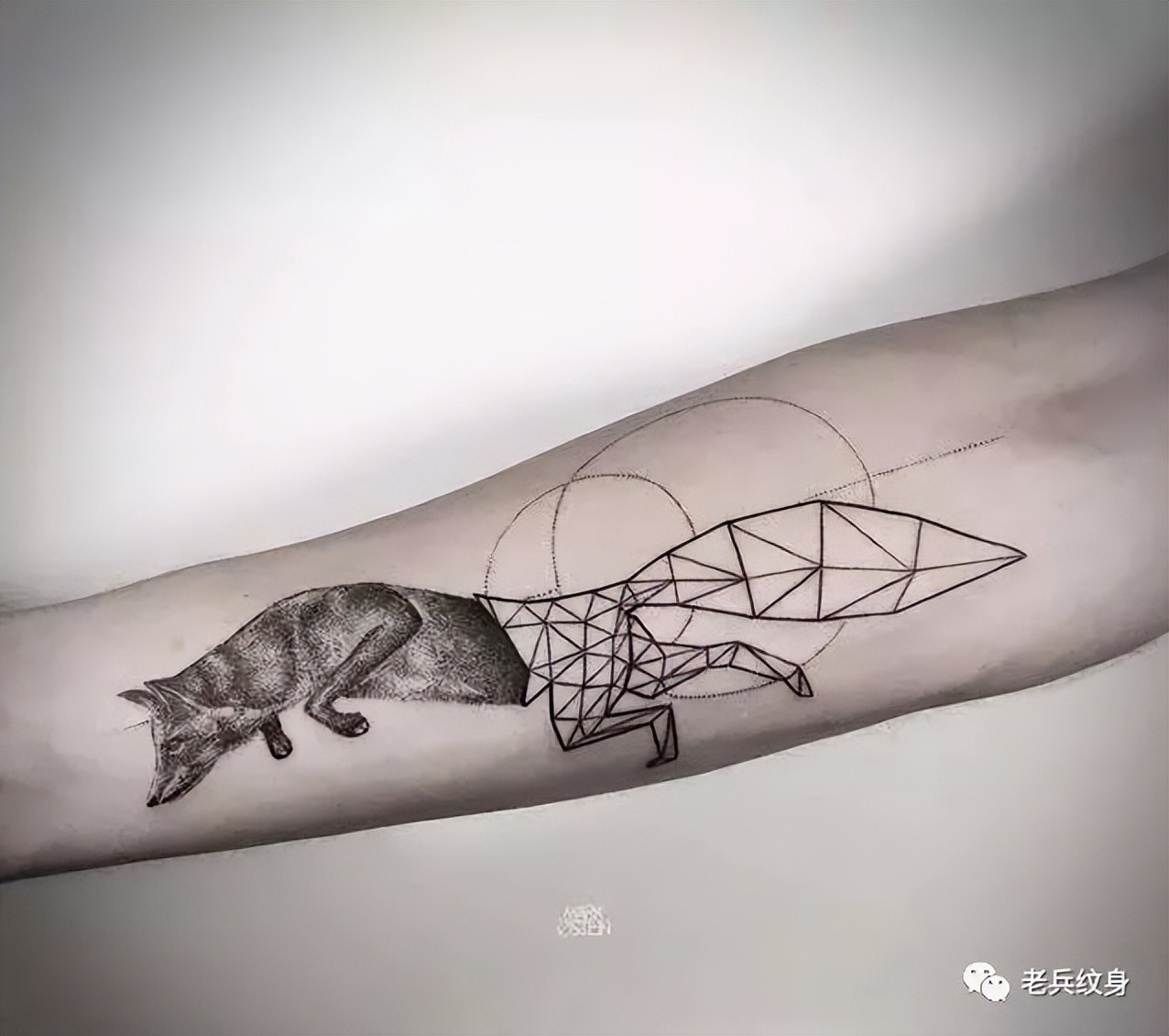 最潮纹身图案大全,十大纹身图案你认识几个