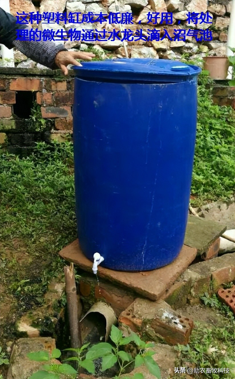 如何提高育肥羊经济效益,育肥猪养殖项目目的是什么