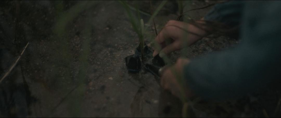 全球票房突破十亿美元最快的电影,评分9.1全球票房近10亿