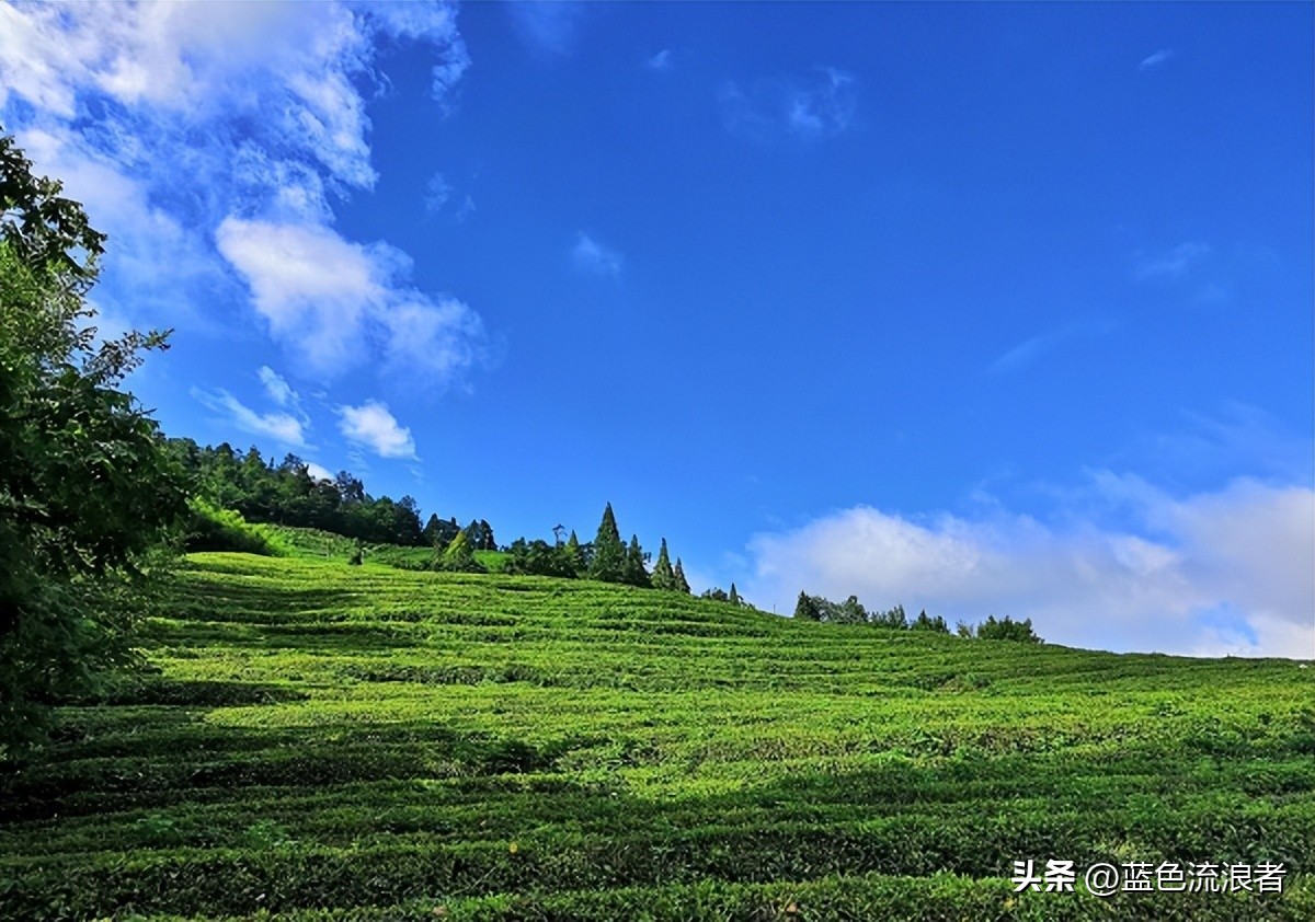 湖北最为人熟知的三个县,湖北最重要的县